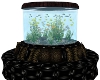Leopard Rnd Fish Tank Co