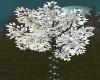 Snow tree + lights