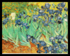 Van Gogh Irises