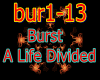 Bur1-13/Burst