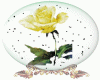 Yellow Rose Globe
