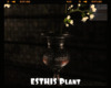 *ESTHIS Plant