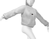 𝕷♛ Icebear F