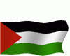 D! Palestine Flag