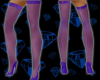 SL Stockings Purple Heel