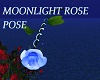 Moonlight Rose Pose