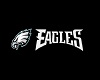 Philly Eagles End Zone 