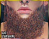 WC.Crisp XL Ginger Beard