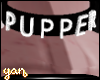 [F] Pupper Collar Black
