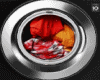 Animated Laundry