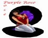 Purple Rose Compac