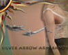 (II)Arrow ArmBands Right