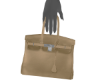 👽 Beige Purse -R