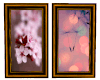 2 Beautiful Frames