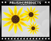 [P] Sun Flower Unisex