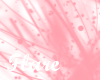 p } Flare Pink