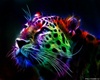 neon tiger in frame