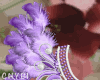 C~Purple Angel Wings