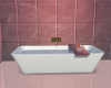 The Apartment Bathtub