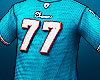 ☪ Dolphin Jersey (M)
