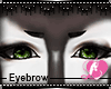 Ash Eyebrows Male 
