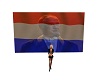 netherlands flag light