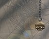Ⓚ SPIDER WEBS
