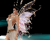 <ja>fairy wings animed