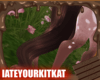 Electra Tail V4