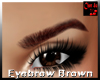 Brownred Eyebrows