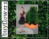  *T* box topiary