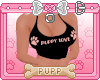 🐾 Puppy Love B&P