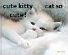 cute kitty ever :)