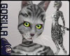 [G] Silver Tabby Skin