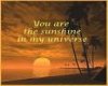 You are the sunshine..