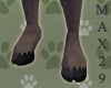 Anyskin Black Hooves