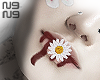 ★  daisy