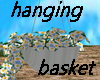 Hanging Flower Basket