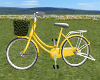 CCP My Yellow Bike
