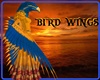 {DBA}  BIRD  WINGS
