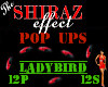 Pop Up Ladybird