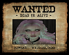 Wanted Poster [custom]