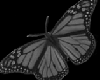Butterfly V2