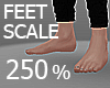 Feet Scale 250%