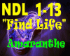 ||Find Life||