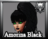 *M3M* Amorina Black