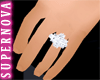 [Nova] Diamond Wedding R