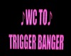 TRIGGER BANGER- ROOM SIG