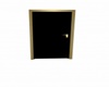 Black/Gold Door