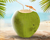 DV COCONUT I